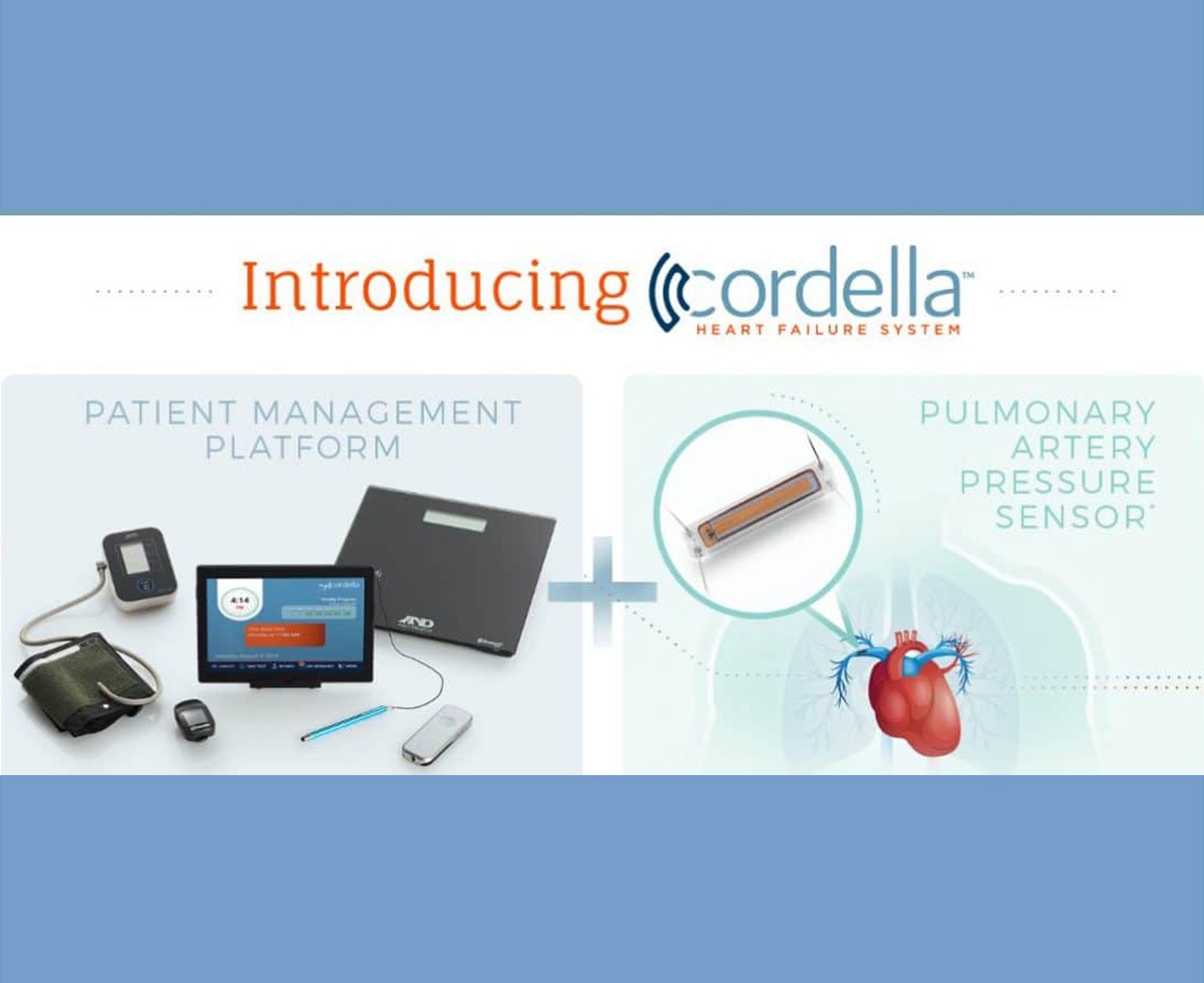Endotronix Image