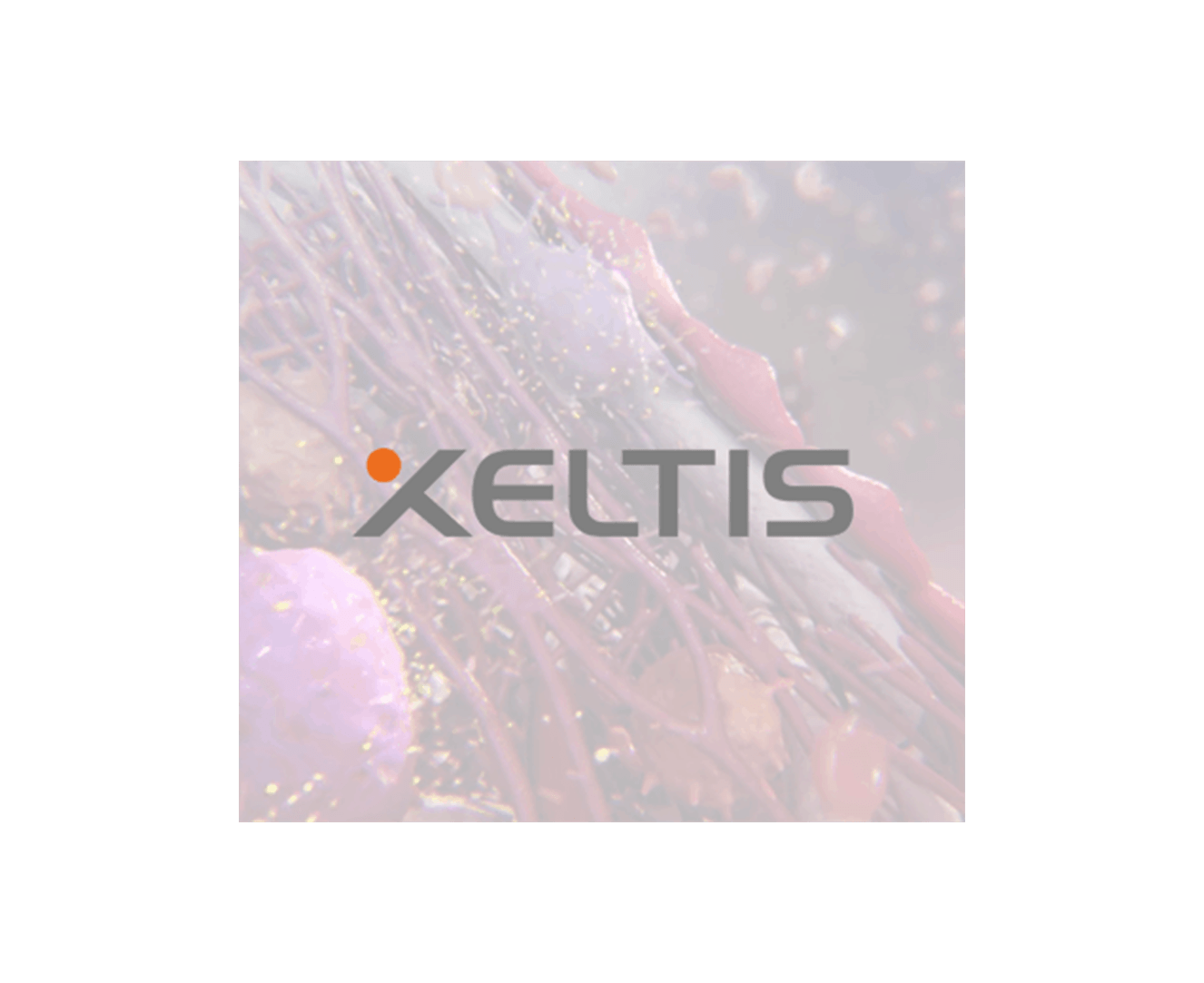 Xeltis Image